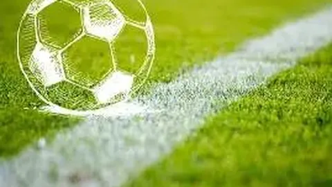 Vitality稳中求进：面对挑战无需慌张，HLTV倾情呈现