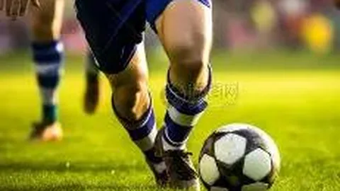 开运体育官网 产品 105251 sg0