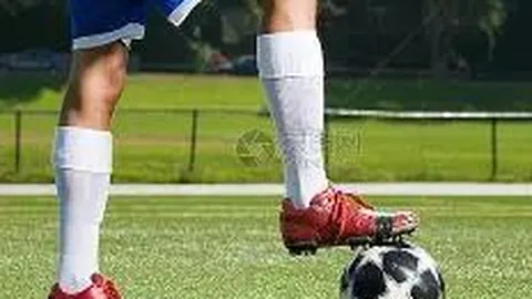 中建八局一公司刷新东莞体育中心，助力全运会男篮赛事！