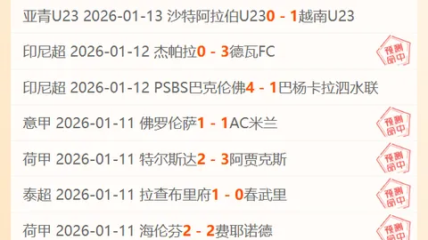 小蜘蛛独中两元，恩佐助威，罗梅罗失误成巴西败因