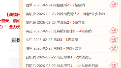 意甲周五009那不勒斯对都灵：专家质合分析推荐前区十码